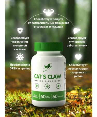 NaturalSupp Cat Claw 500 mg for immunity 60 plant capsules - Buy Online on GoSupps.com