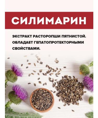 PROTEINCOMPANY Silimarin Prohopsha for the liver 90 capsules - Buy Online on GoSupps.com