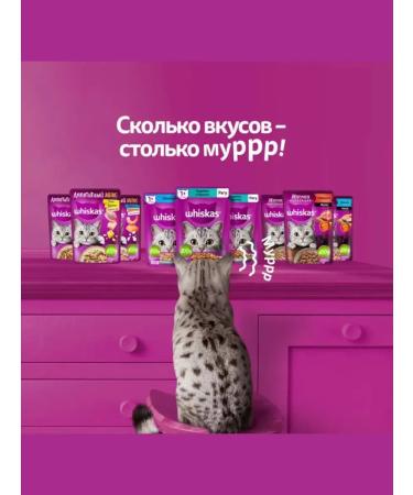 WHISKAS Wet food for cats chicken indections will be 28pcs x 75gr - Buy Online on GoSupps.com