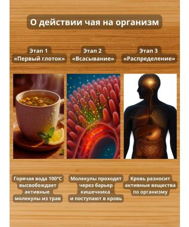 BioJuls Herbal tea for weight loss Effective Detox 3 Doipaka - Buy Online on GoSupps.com