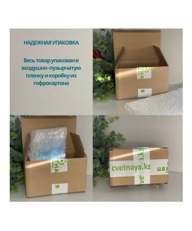 LA ROCHEPOSAY Toleriane Dermallergo Intensive Calier Care - Buy Online on GoSupps.com