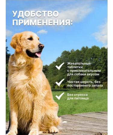 Zoetis USA RF Simparika 80mg 3Tab for dogs 20-40 kg from tick fleas - Buy Online on GoSupps.com