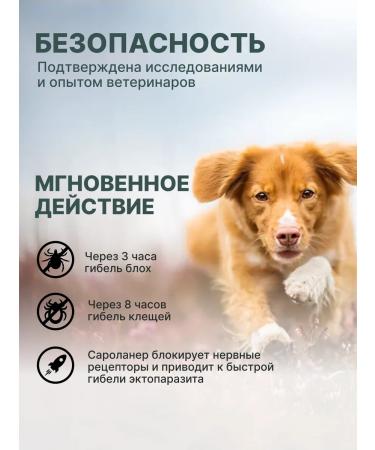 Zoetis USA RF Simparika 80mg 3Tab for dogs 20-40 kg from tick fleas - Buy Online on GoSupps.com