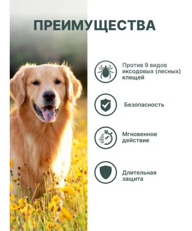 Zoetis USA Simparika 120mg 3Table for dogs 40-60 kg from tick fleas - Buy Online on GoSupps.com