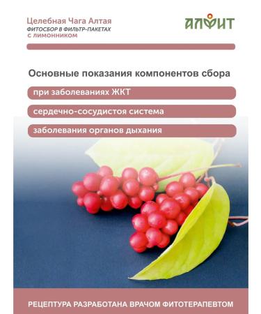 ALFIT Chaga Altai with Limonnik - Buy Online on GoSupps.com