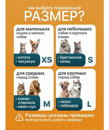 MedTorg Protective collar for cats and dogs veterinary - Buy Online on GoSupps.com