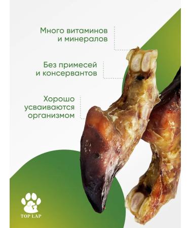 Top Lap Toy natural beef hoof - Buy Online on GoSupps.com