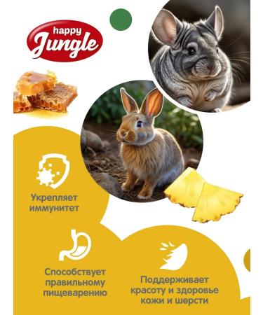 HAPPY JUNGLE A delicacy for large rodents sticks honey mix 6 pcs - Buy Online on GoSupps.com