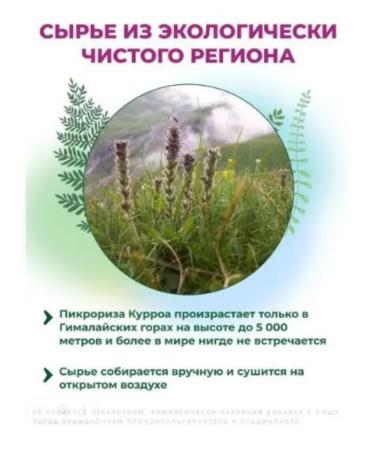 CADILLA Haspayave 30 capsules. Natural protector of the liver - Buy Online on GoSupps.com