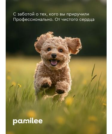 Pamilee Professional dog shampoo - Buy Online on GoSupps.com