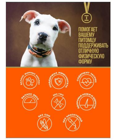 Profifeed Dry food for puppies 10 kg - Buy Online on GoSupps.com