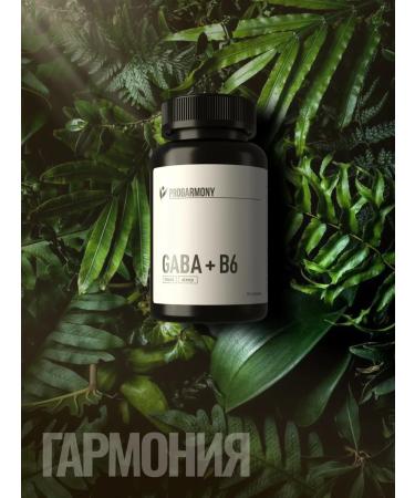 PROHARMONY Gaba (Savor) 750 mg + B6 for sleep and tranquility - Buy Online on GoSupps.com