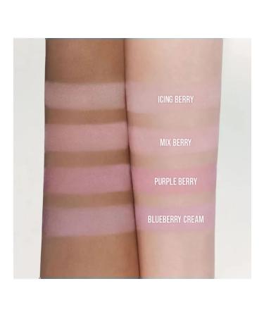 Dasique Blueberry sorbet blush palette in blueberry sorbet - Buy Online on GoSupps.com