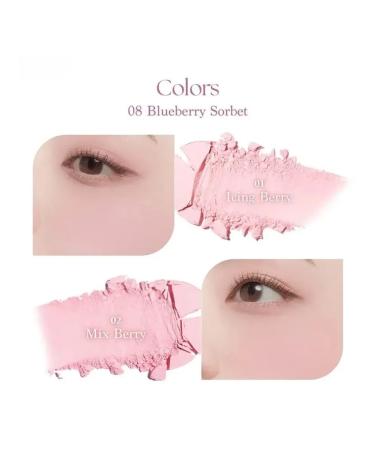 Dasique Blueberry sorbet blush palette in blueberry sorbet - Buy Online on GoSupps.com