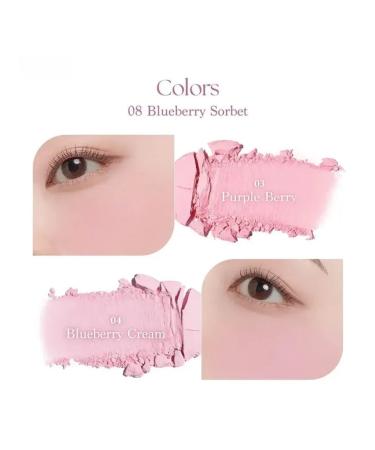 Dasique Blueberry sorbet blush palette in blueberry sorbet - Buy Online on GoSupps.com