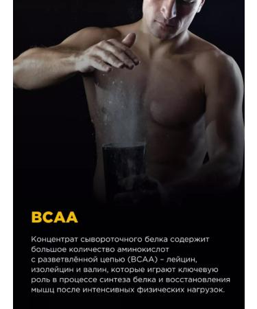 BombBar Protein Whey Protein Pro 450 g cream Bryule - Buy Online on GoSupps.com