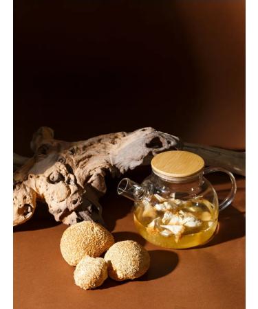 FOREST VIBE Ezhovik creped fruit body powder 100 grams - Buy Online on GoSupps.com