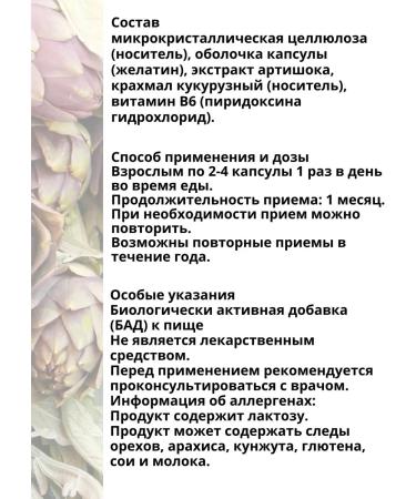 DR MYBO Artichok with vitamin B6 for the liver 90 kapsul*1UP - Buy Online on GoSupps.com