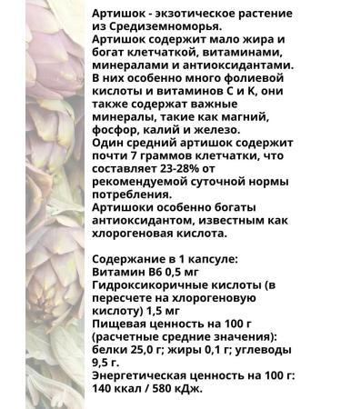 DR MYBO Artichok with vitamin B6 for the liver 90 kapsul*2UP - Buy Online on GoSupps.com