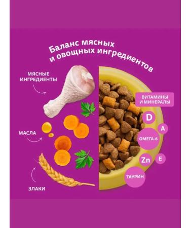 WHISKAS Dry food for sterilized cats chicken 5 kg - Buy Online on GoSupps.com