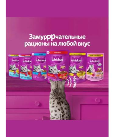 WHISKAS Dry food for adherent cats chicken turkey 5 kg - Buy Online on GoSupps.com