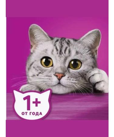 WHISKAS Dry food for adherent cats chicken turkey 5 kg - Buy Online on GoSupps.com