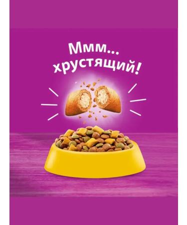 WHISKAS Dry food for adherent cats chicken turkey 5 kg - Buy Online on GoSupps.com