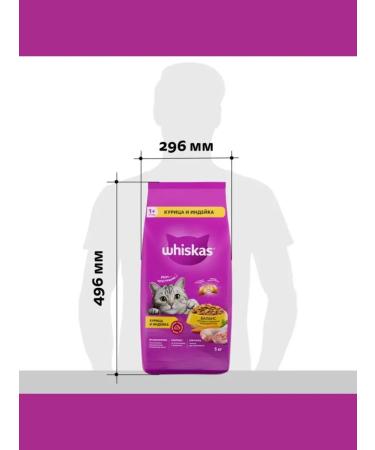 WHISKAS Dry food for adherent cats chicken turkey 5 kg - Buy Online on GoSupps.com