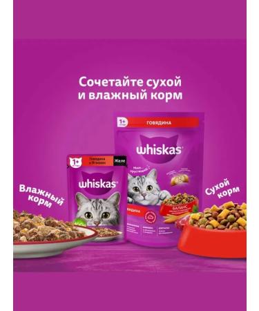 WHISKAS Dry food for adherent cats moose 5 kg - Buy Online on GoSupps.com