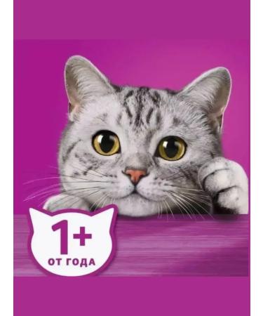 WHISKAS Dry food for adherent cats moose 5 kg - Buy Online on GoSupps.com
