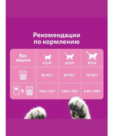 WHISKAS Dry food for adherent cats moose 1.3 kg - Buy Online on GoSupps.com