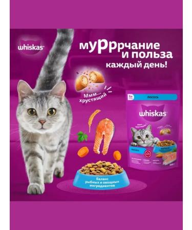 WHISKAS Dry food for adherent cats moose 1.3 kg - Buy Online on GoSupps.com