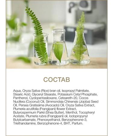 Thai Traditions Body cream Hypoallergenic moisturizing massage rice - Buy Online on GoSupps.com