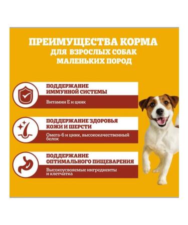 PEDIGREE Feed for adult dogs of small breeds beef 2 kg - Buy Online on GoSupps.com