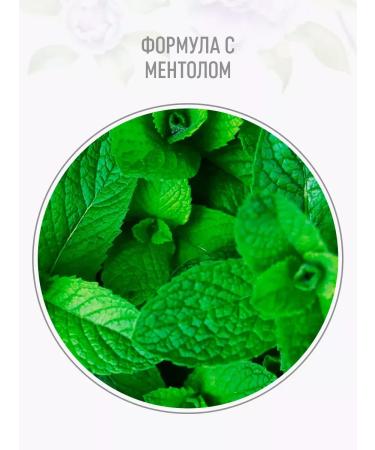 Syoss Clean & Cool 450 ml shampoo - Buy Online on GoSupps.com