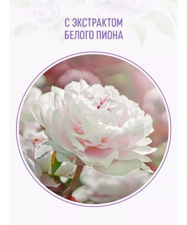 Syoss Glossing shampoo for dim hair 500 ml 2 pcs - Buy Online on GoSupps.com