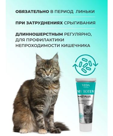 VEDA Pasta for the output of wool with a prebiotic for cat plus cats - Buy Online on GoSupps.com