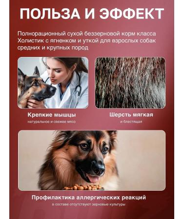 BLITZ Feed for dogs of medium and large breeds (lamb duck 1.5kg) - Buy Online on GoSupps.com