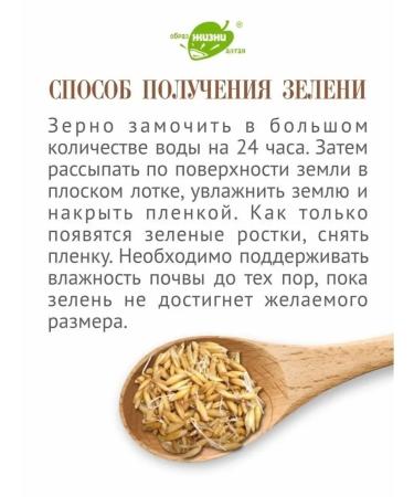 Altai lifestyle Oats in the shell is not -displeered for brewing 1200g - Buy Online on GoSupps.com