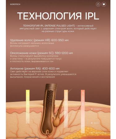 NordTech The photoeplator is laser - Buy Online on GoSupps.com