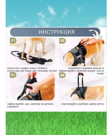PetLeader Walk for dogs supporting the hind legs - Buy Online on GoSupps.com