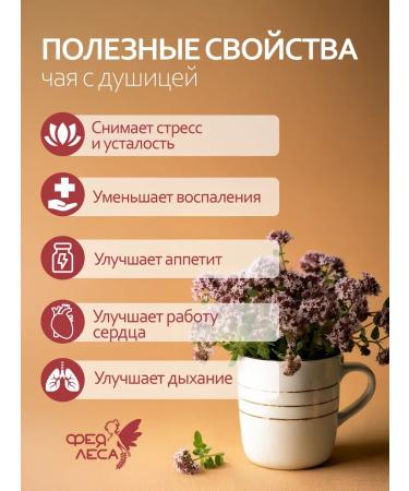 FOREST FAIRY Ivan tea with oregano fermented large-leaf - Buy Online on GoSupps.com