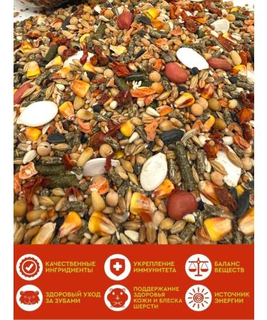 RICH RANCH Feed for hamsters rats and rodents - Buy Online on GoSupps.com