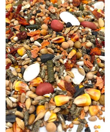RICH RANCH Feed for hamsters rats and rodents - Buy Online on GoSupps.com