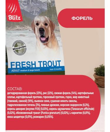 BLITZ Dry food for dogs monoprotein with trout - Buy Online on GoSupps.com