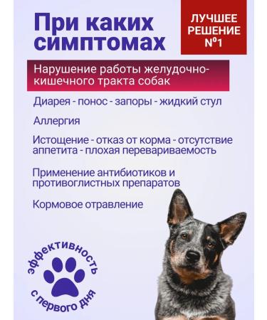 with a small shoe Vetosporin Probiotic help the aging dog 100 ml - Buy Online on GoSupps.com