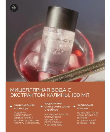 KRASNOPOLYANSKAYA COSMETICS Set "Micellar water with viburnum extract and rbg mascara" - Buy Online on GoSupps.com