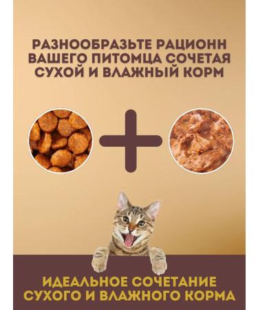 PRO PLAN Feed for sterilized cats salmon 400 grams - Buy Online on GoSupps.com