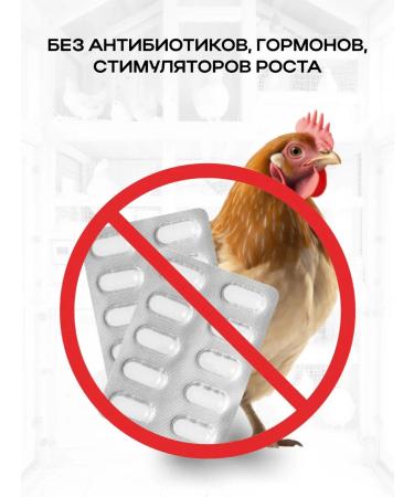 Your Farm Vitamins for chickens A layout for egg production of health 600 gr. - Buy Online on GoSupps.com