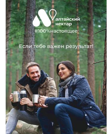 ALTAI NECTAR Coniferous tea thai anti -stress for immunity - Buy Online on GoSupps.com